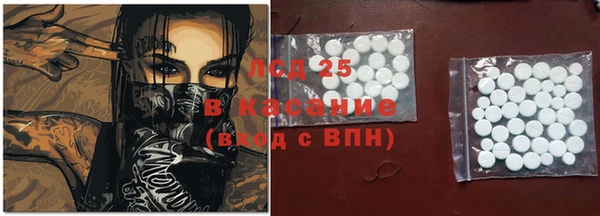 сатива Гусиноозёрск