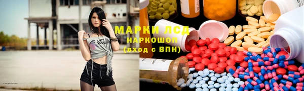 сатива Гусиноозёрск