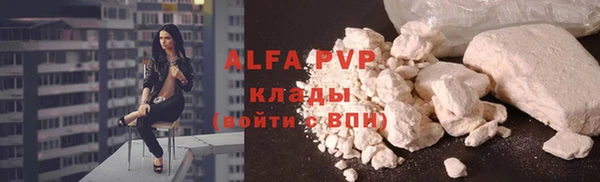 сатива Гусиноозёрск