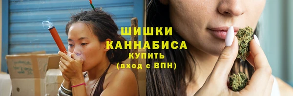 круглые Гусев