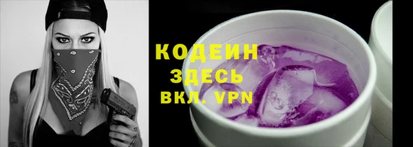 круглые Гусев