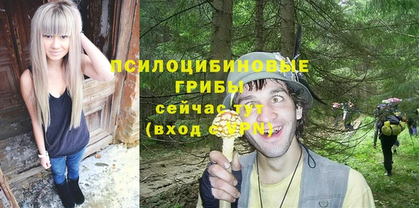 сатива Гусиноозёрск