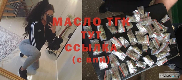 круглые Гусев