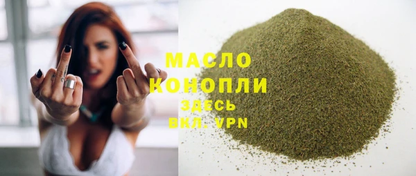 круглые Гусев