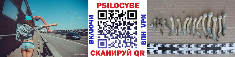 купить наркотики цена  Липки  Псилоцибиновые грибы Magic Shrooms 